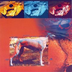 Anthony Manning - Anthony Manning - Chromium Nebulae - Irdial Discs