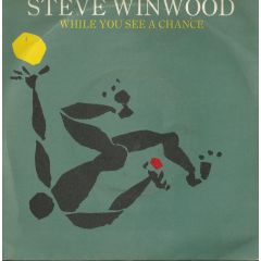 Steve Winwood - Steve Winwood - While You See A Chance - Island