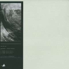 Shxcxchcxsh - Shxcxchcxsh - STRGTHS RCNSTRCTNS - Avian