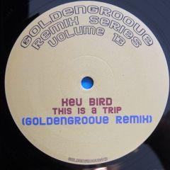Kev Bird - Kev Bird - This Is A Trip (2008 Remix) - Golden Groove 13