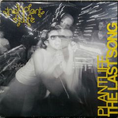 Plant Life - Plant Life - The Last Song - Gut Records