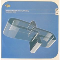 Positive Pole Feat. Larry Woodley - Positive Pole Feat. Larry Woodley - You Belong To Me - Ultralab