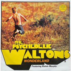 The Psychedelics Waltons - The Psychedelics Waltons - Wonderland - Echo