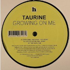 Taurine - Taurine - Growing On Me - Hussle