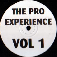 Unknown Artist - Unknown Artist - The Pro Experience Vol 1 - Not On Label
