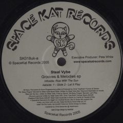 Steal Vybe - Steal Vybe - Grooves And Melodies - Space Kat Records