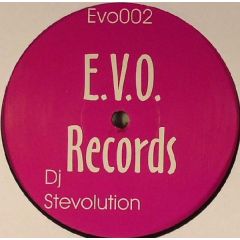 DJ Stevolution - DJ Stevolution - I Never New / For You / DJ Made My Day - Evo Records