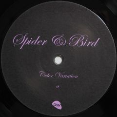 Spider And Bird - Spider And Bird - Therapy Meetings EP - F-Ton
