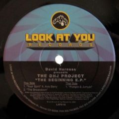 David Harness Presents The Dhj Project - David Harness Presents The Dhj Project - The Beginning E.P. - Look At You Records