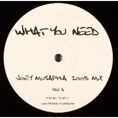 Joey Musaphia - Joey Musaphia - What You Need / Stomp (2005 Remixes) - Stoft 1