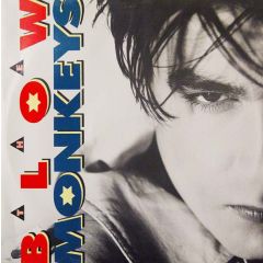 The Blow Monkeys - The Blow Monkeys - It Doesn't Have To Be This Way (Long) - RCA