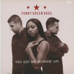 Funky Green Dogs - Funky Green Dogs - You Got Me (Burnin' Up) - MCA
