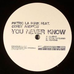 Patric La Funk Feat. Corey Andrew - Patric La Funk Feat. Corey Andrew - You Never Know - Opaque
