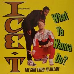 Ice T - Ice T - What Ya Wanna Do - Sire