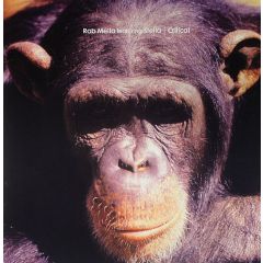 Rob Mello - Rob Mello - Critical - Classic 