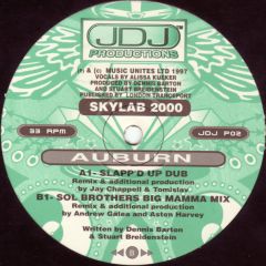 Auburn - Auburn - Skylab 2000 - JDJ