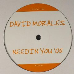 David Morales Aka The Face - David Morales Aka The Face - Needin' You (2005 Remix) - White