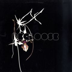 Recloose - Recloose - Hiatus On The Horizon - Peacefrog