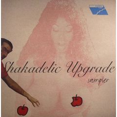 Mantra Breaks Presents - Mantra Breaks Presents - Shakadelic Upgrade (Sampler) - Mantra Breaks