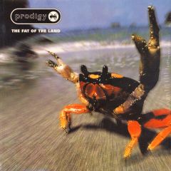 The Prodigy - The Prodigy - The Fat Of The Land - XL Recordings