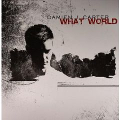 Damien J Carter - Damien J Carter - What World - Milk & Sugar