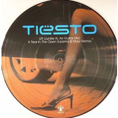 DJ Tiesto - DJ Tiesto - Ur (Picture Disc) - Nebula