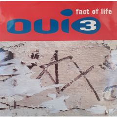 Oui 3 - Oui 3 - Fact Of Life - MCA