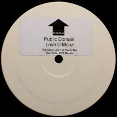 Public Domain - Public Domain - Love U More - Incentive