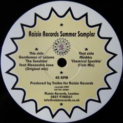 The Gentlemen Of Leisure / Mushka - The Gentlemen Of Leisure / Mushka - Raisin Records Summer Sampler - Raisin Records