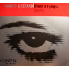 Voodoo & Serano - Voodoo & Serano - Blood Is Pumpin - S12 Simply Vinyl