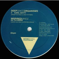 Deep Space Organisms - Deep Space Organisms - Aural Entity - Within Records