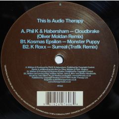 Dave Seaman Presents - Dave Seaman Presents - This Is Audiotherapy (Vinyl Sampler 1) - Audio Therapy