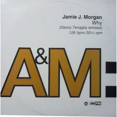 Jamie J Morgan - Jamie J Morgan - WHY - A&M