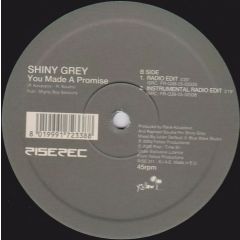Shiny Grey - Shiny Grey - You Made A Promise - Rise