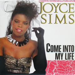 Joyce Sims - Joyce Sims - Come Into My Life - Sleeping Bag Records