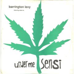 Barrington Levy Feat Rebel MC - Barrington Levy Feat Rebel MC - Under Me Sensi - Tribal Bass