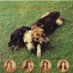 The World Of Skin - The World Of Skin - Ten Songs For Another World - Young God Records