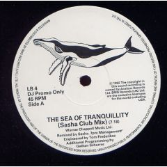 Londonbeat - Londonbeat - The Sea Of Tranquillity (Sasha Remix) - BMG