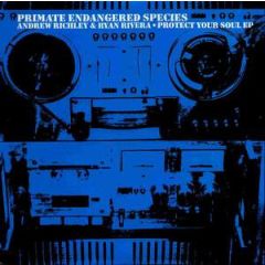 Andrew Richley & Ryan Rivera - Andrew Richley & Ryan Rivera - Protect Your Soul EP (Blue Vinyl) - Primate Endangered Species