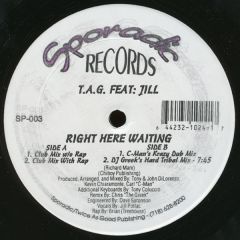 T.A.G. Featuring Jill Pollac - T.A.G. Featuring Jill Pollac - Right Here Waiting - Sporadic Records