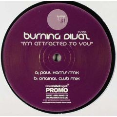 Burning Divas - Burning Divas - I'm Attracted To You - Instinct