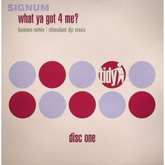 Signum - Signum - What Ya Got 4 Me? 2002 (Remixes Pt1) - Tidy Trax