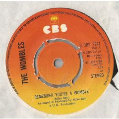 The Wombles - The Wombles - Remember You're A Womble - CBS