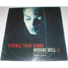Terence Trent D'Arby - Terence Trent D'Arby - Wishing Well (The Cool In The Shade Mix) - CBS