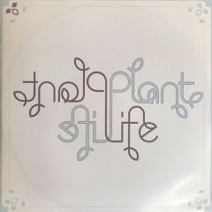 Plant Life - Plant Life - The Return Of Jack Splash (Sampler) - Gut Records