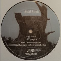 Angel Alanis - Angel Alanis - Darkness - Turtle Tracks