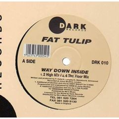 Fat Tulip - Fat Tulip - Way Down Inside - Dark Records