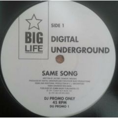 Digital Underground - Digital Underground - Same Song - Big Life