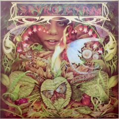 Spyro Gyra - Spyro Gyra - Morning Dance - Infinity Records