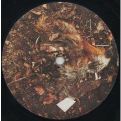 Savagen - Savagen - Practically Educated - Darkfloor Sound